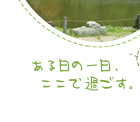 ある日の一日、ここで過ごす